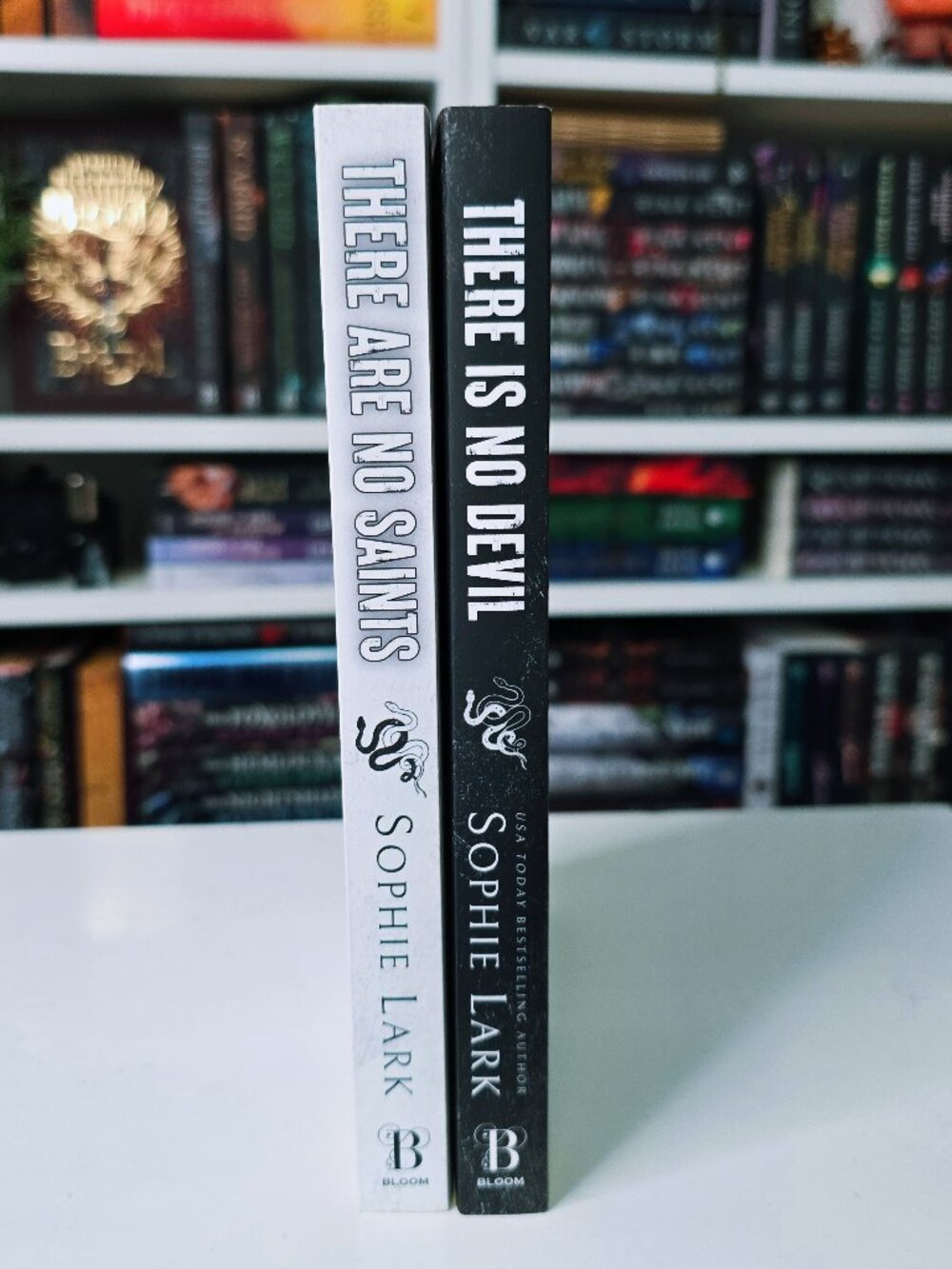 Sophie Lark - There Are No Saints/There Is No Devil - Sinners Duology -PAPERBACK - Picture 3 of 4